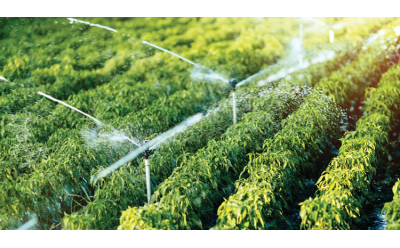 Importanta si rolul irigatiilor in agricultura. Ce nu stiai despre tehnologia folosita si cum a evoluat aceasta