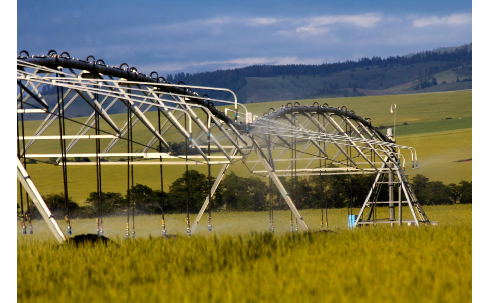 Piața irigațiilor agricole, în creștere. Valmont, printre cei mai mari jucători la nivel mondial